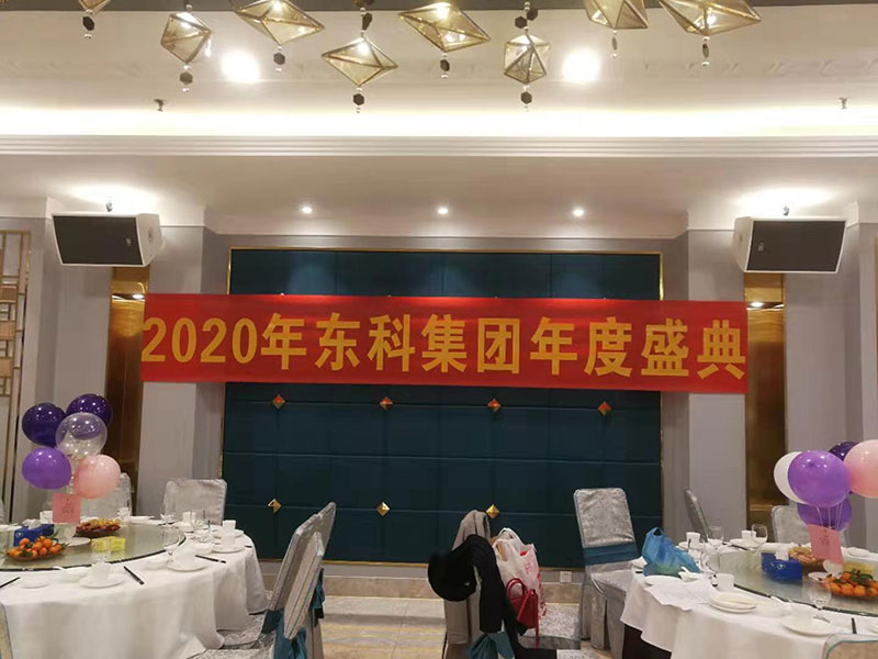 2020年东科集团“同心同行，共创未来”年会盛典