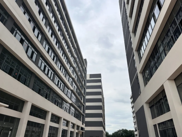 惠州产业孵化协会创始会长黄文辉到访东科智汇创新园，共探产业载体新发展