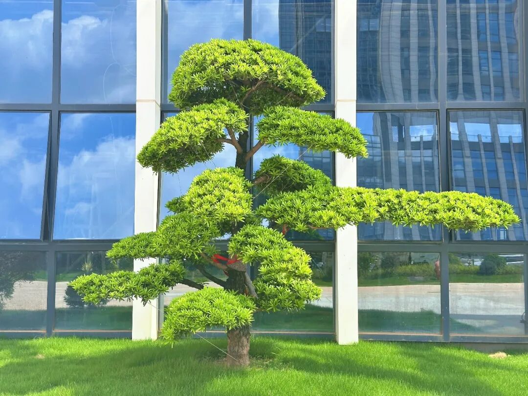 「五月绽放季」企业开业投产忙，园区品质再升级，开园盛典蓄势待发！