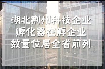 湖北荆州科技企业孵化器在孵企业数量位居全省前列