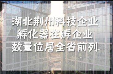 湖北荆州科技企业孵化器在孵企业数量位居全省前列