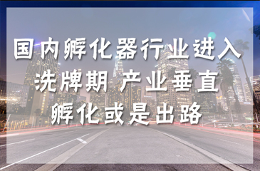 国内孵化器行业进入洗牌期 产业垂直孵化或是出路